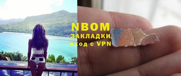 индика Армянск