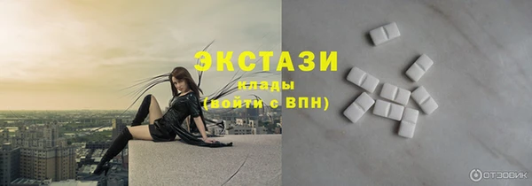 индика Армянск