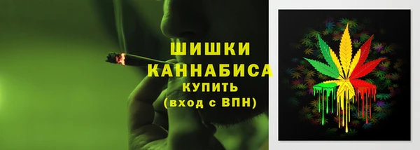 индика Армянск