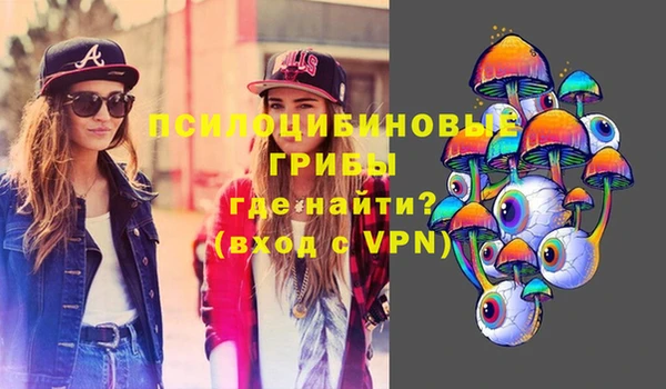 а пвп мука Аркадак