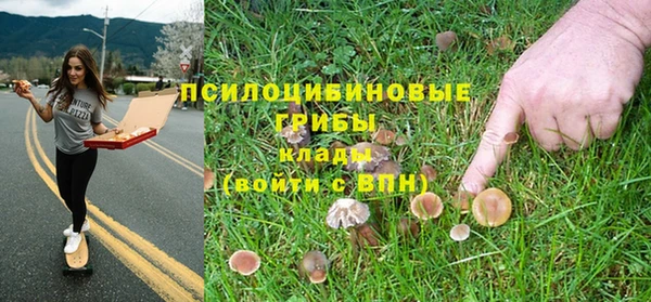 прущая мука Арсеньев