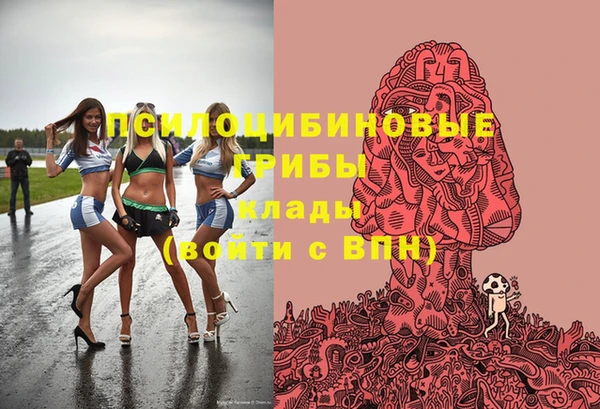 прущая мука Арсеньев