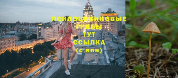 прущая мука Арсеньев